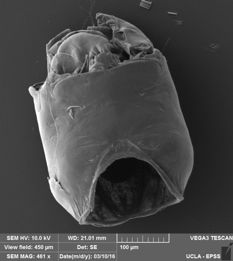 Screenshot 2016-03-15 at 00.22.40